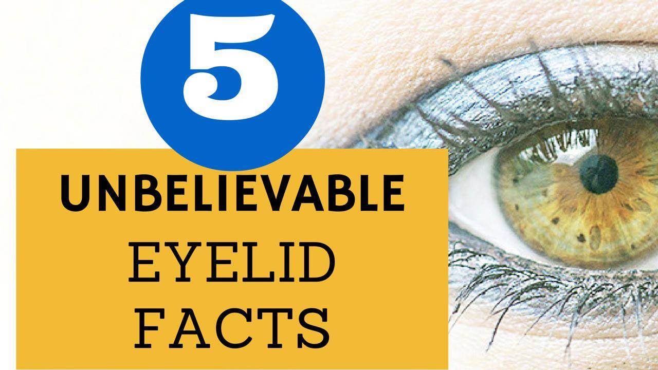dr. brett kotlus eyelid facts